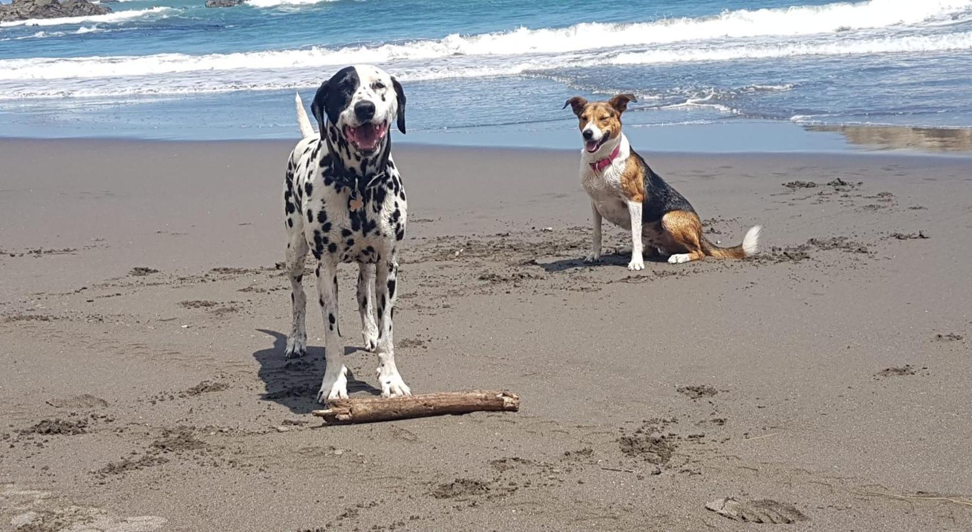 Port Waikato Holiday Park Экстерьер фото