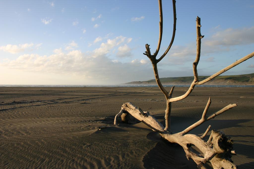 Port Waikato Holiday Park Экстерьер фото